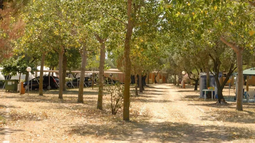 Camping Relax Ge