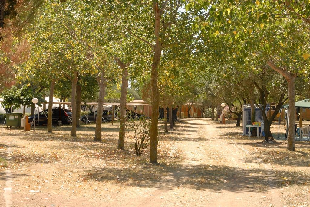 Camping Relax Ge