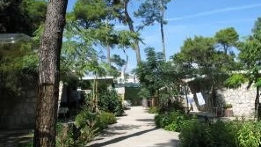 Campsite Diana & Josip