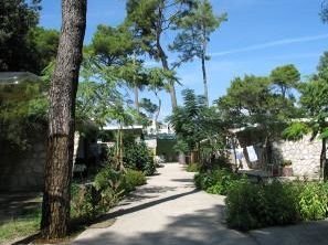 Campsite Diana & Josip