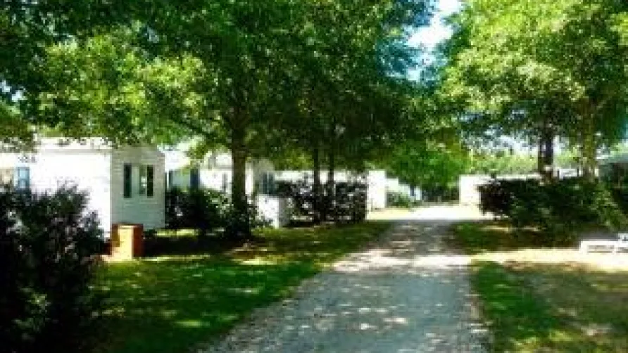 Camping LANDES BLEUES