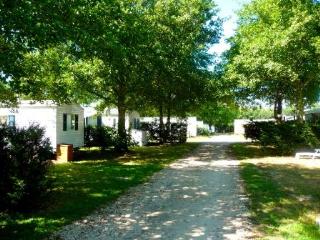 Camping LANDES BLEUES