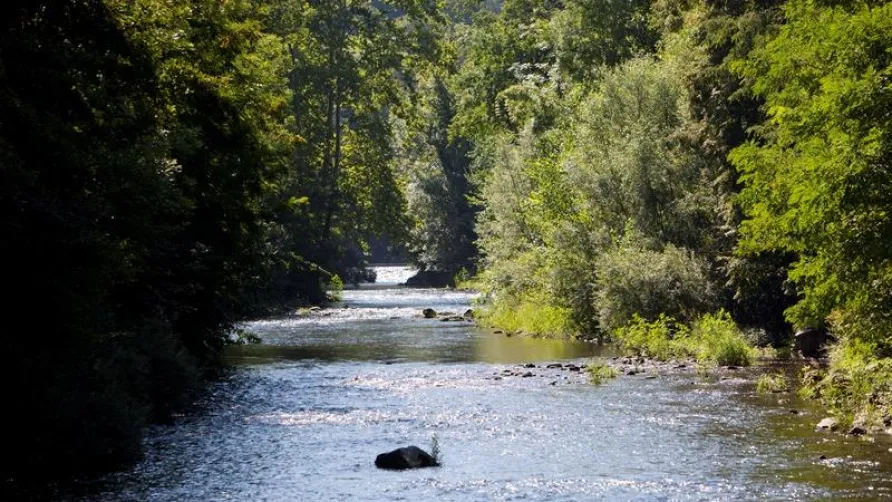 Camping Qualité le Val de Saures