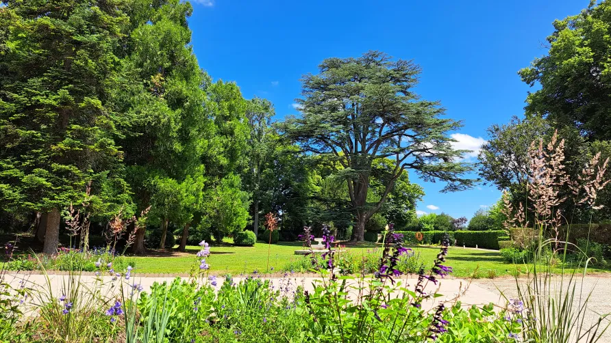 Camping Château de la Rolandière