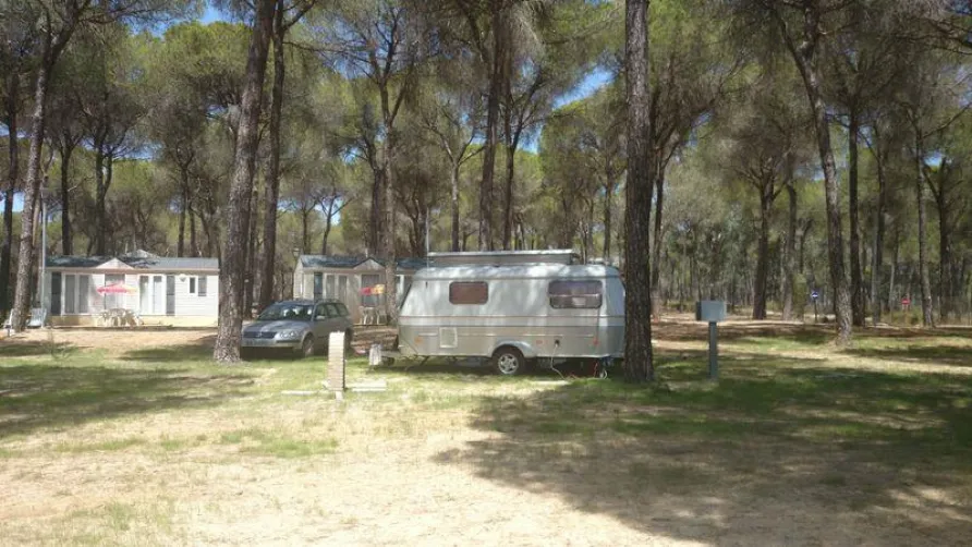Camping DOÑARRAYÁN PARK