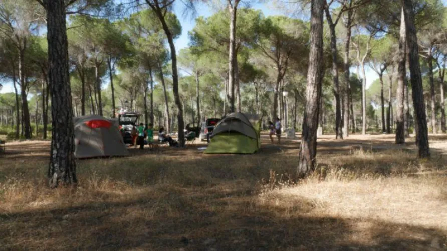 Camping DOÑARRAYÁN PARK