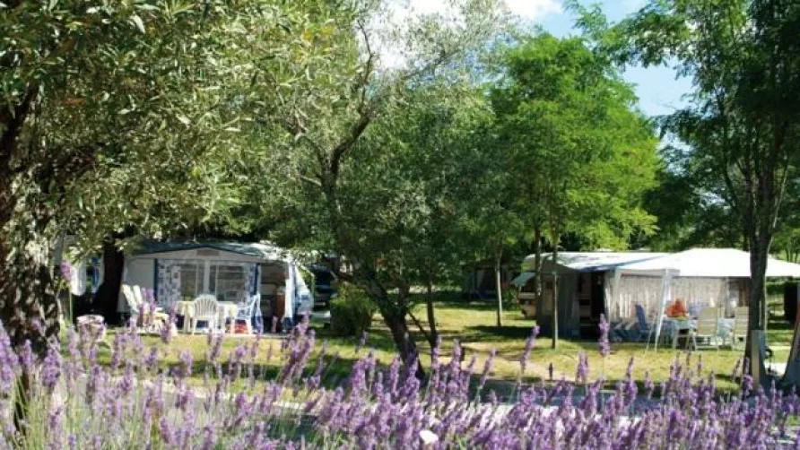 Camping Le Petit Bois Sites et Paysages