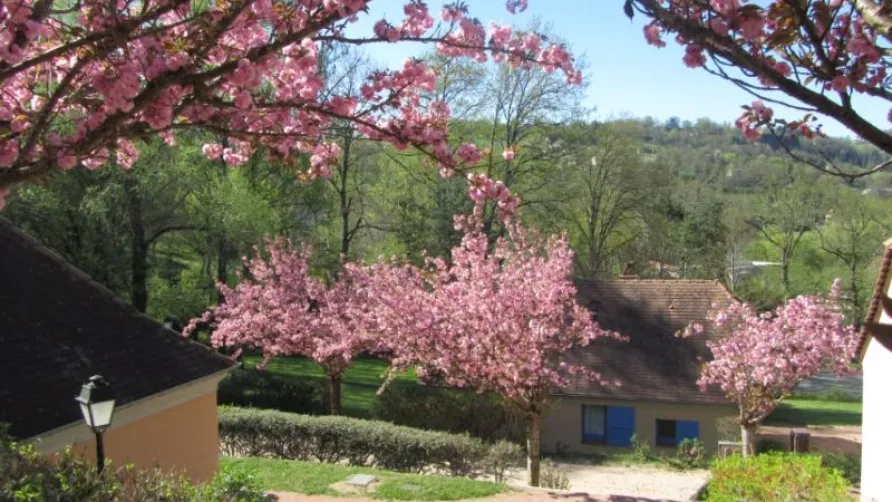 DOMAINE DU SURGIE