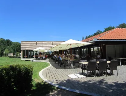 DOMAINE DU SURGIE