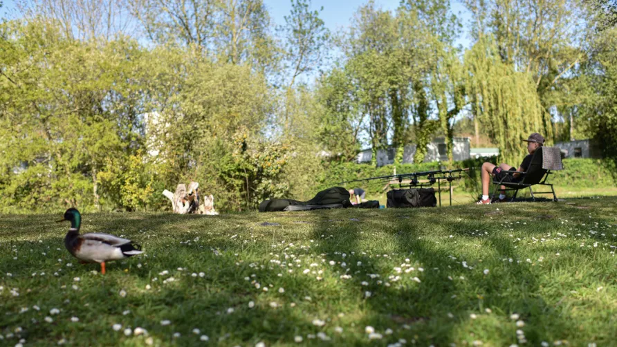 Camping Paradis DOMAINE DE BELLEVUE