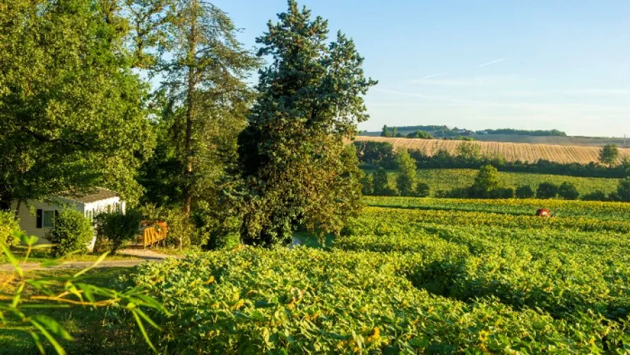 Domaine Aramis