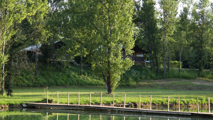Domaine Aramis