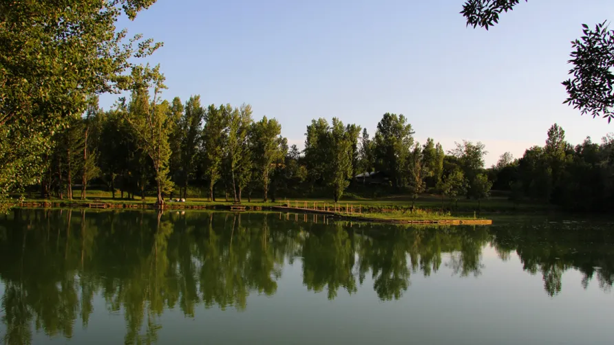 Domaine Aramis