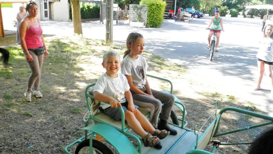 Flower CAMPING LES FAUVETTES