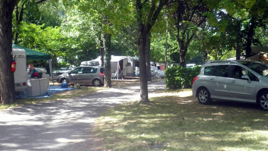 Flower CAMPING LES FAUVETTES