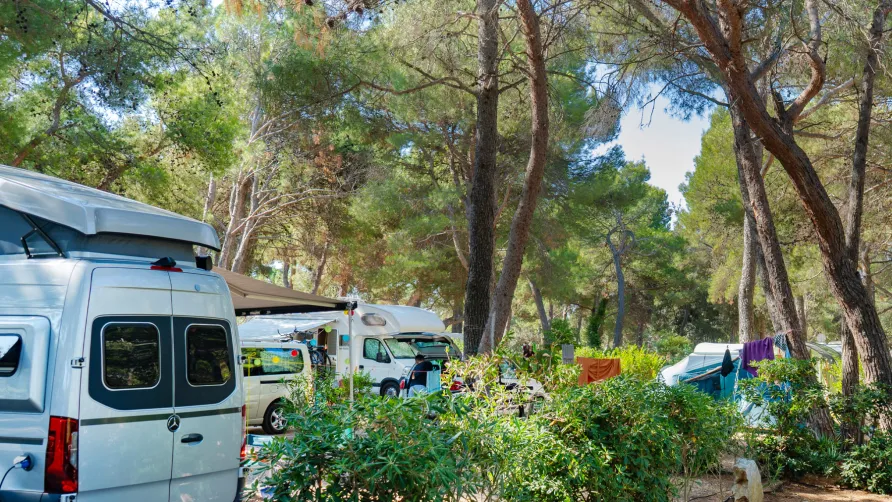 Baia Holiday Poljana
