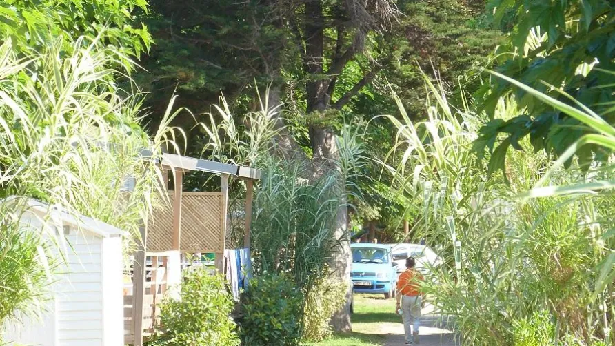Chadotel Tahiti Village