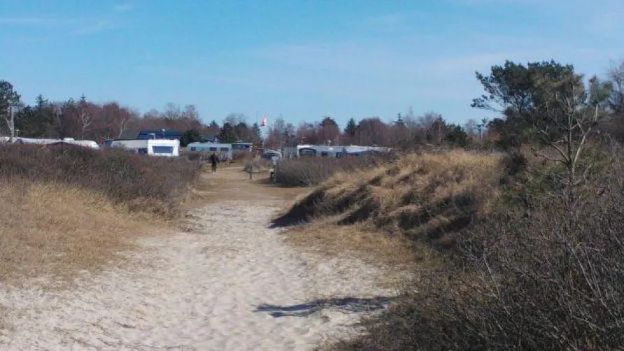 Bjerge Sydstrand Camping
