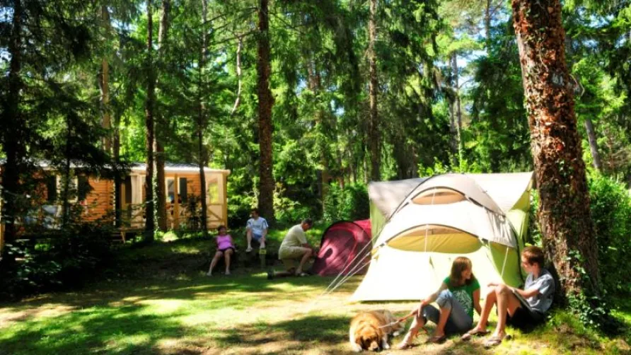 Camping La Pinède - Excenevex