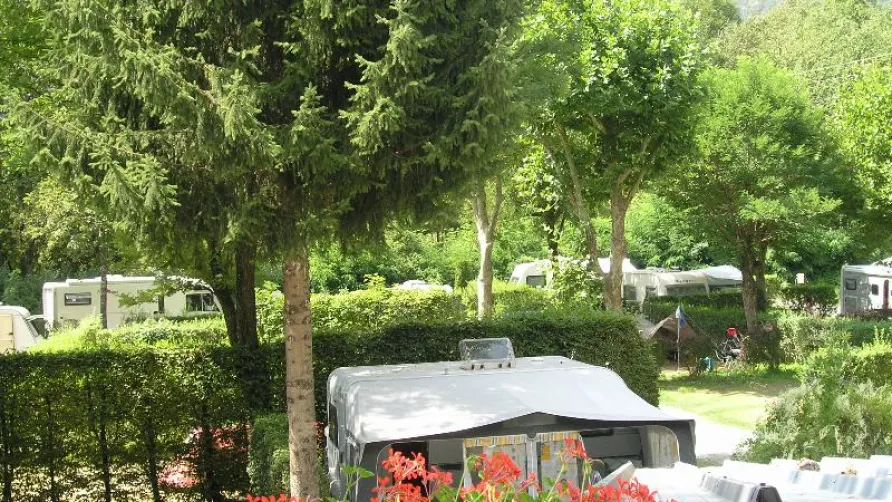 Flower Camping  A La Rencontre du Soleil