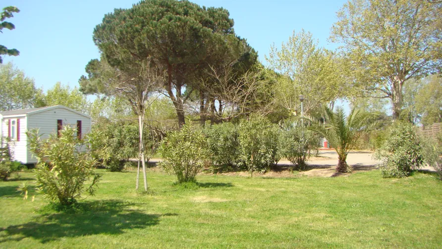 Camping Cap Sud