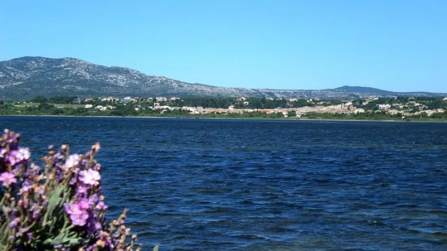 Domaine de la Palme