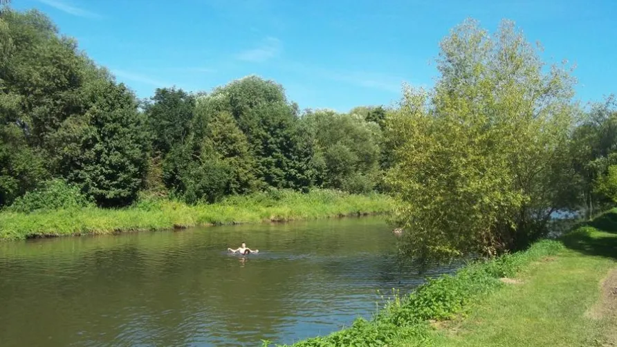 Camping de l'Ill - Colmar