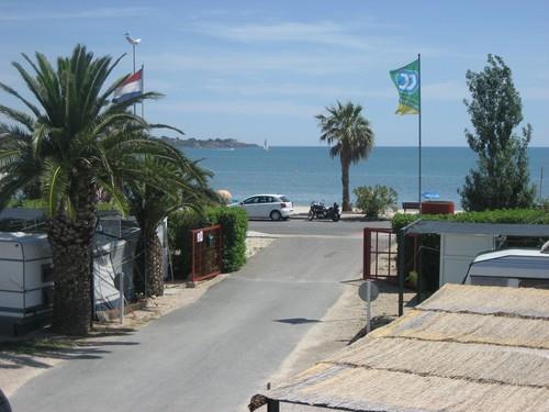 TAIGA Delta de l'Ebre