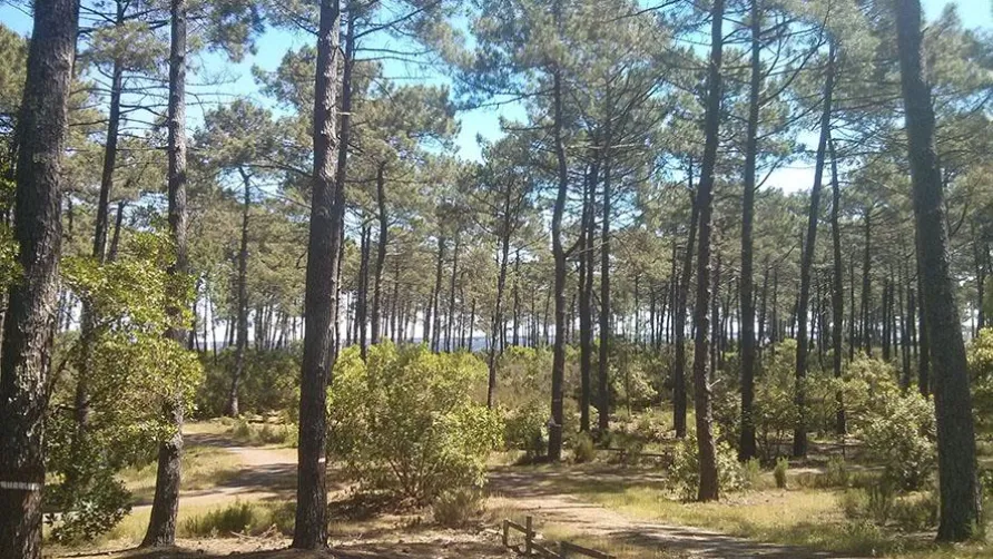Huttopia Lac de Carcans