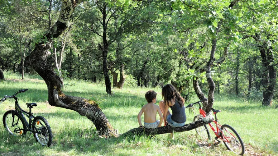 Camping L'Ombrage