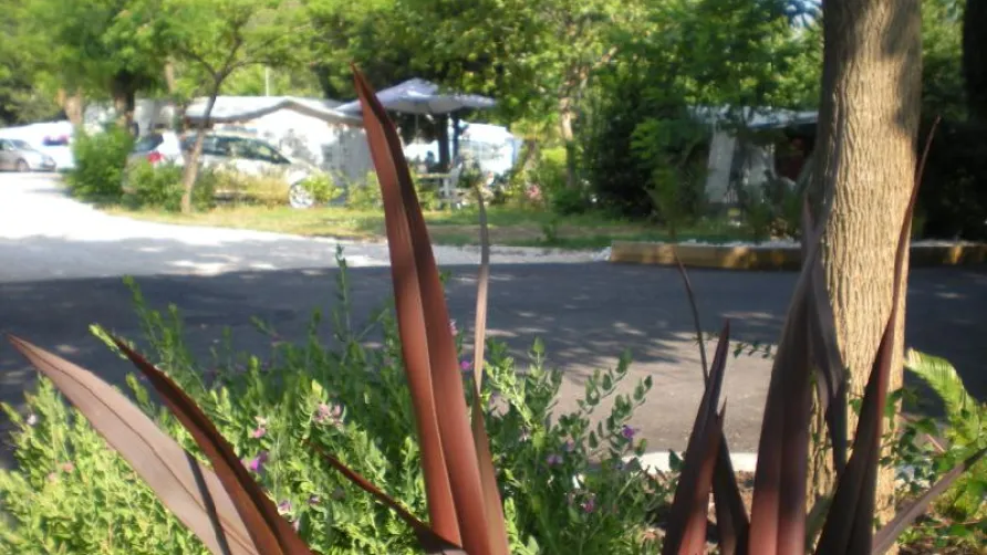 Camping Lou Pantaï
