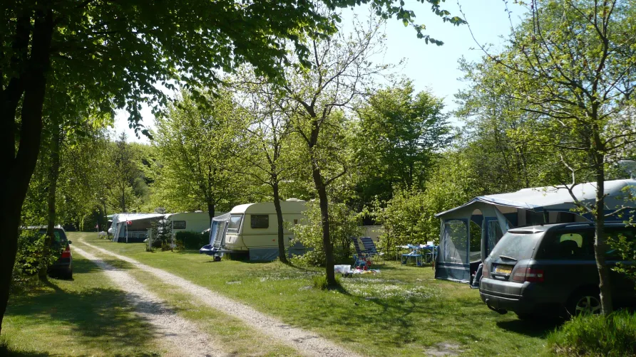 Ringkøbing Camping
