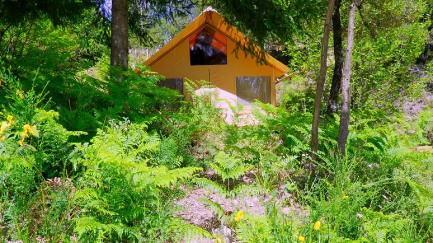 Bivouac nature