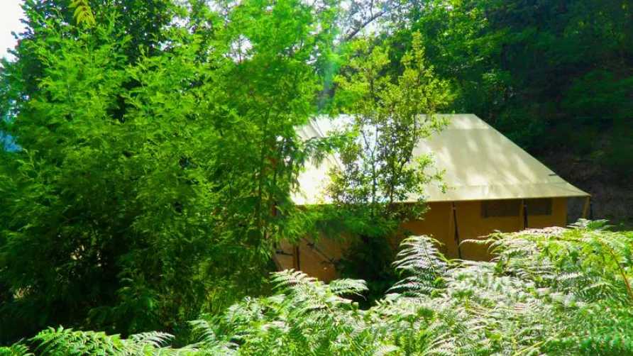 Bivouac nature