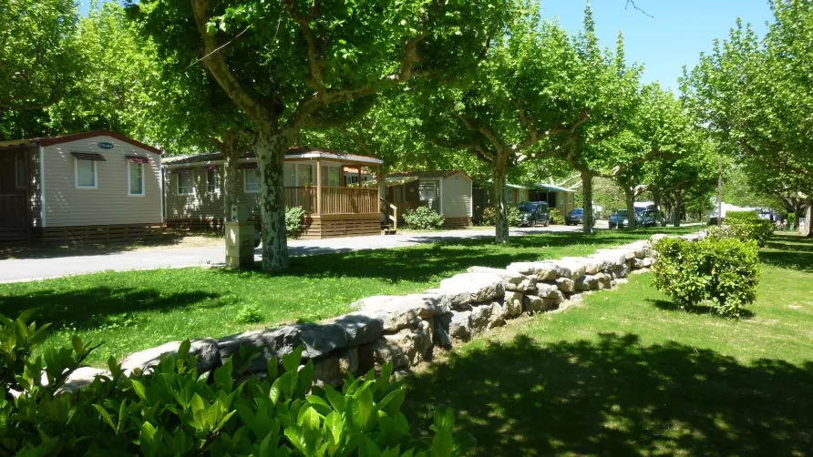 International Camping