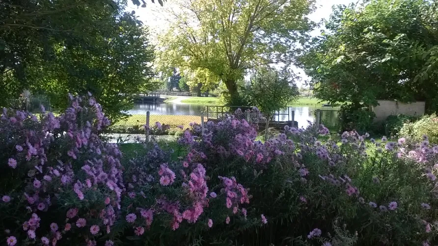Camping Le Plein Air Neuvicois