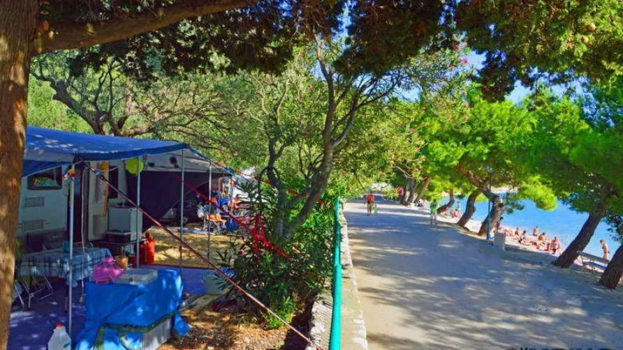 Camping Viter