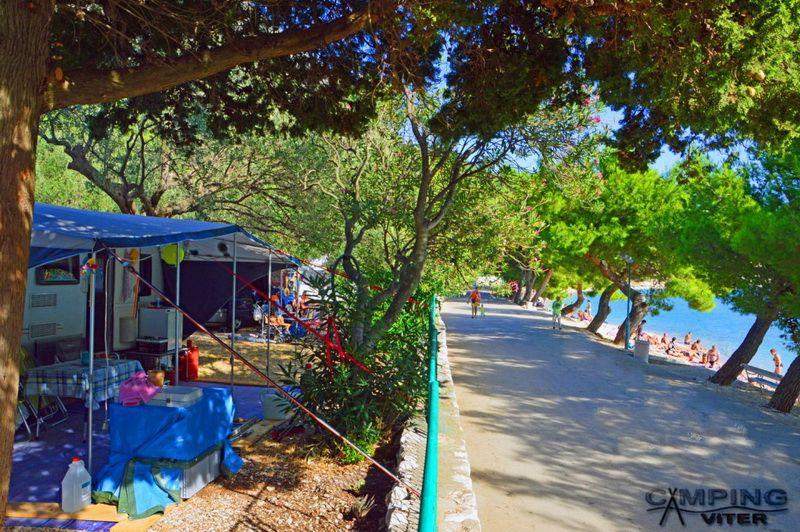 Camping Viter