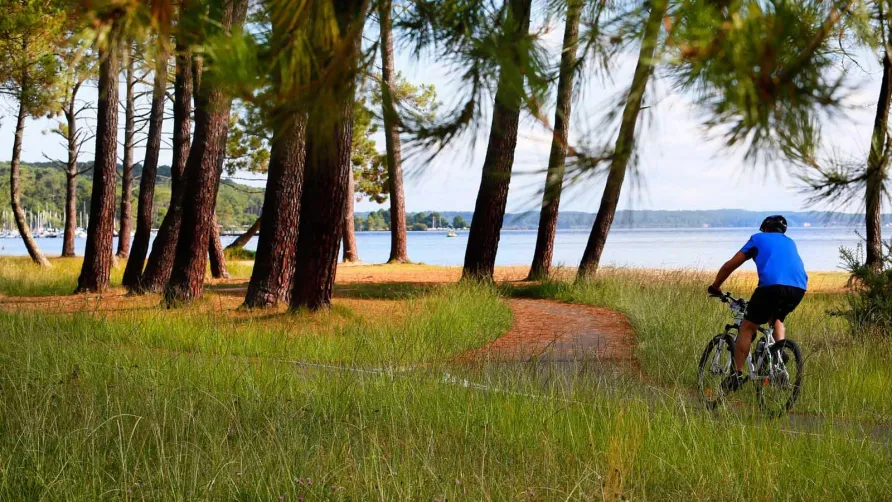 OLD - Camping Au Lac de Biscarrosse