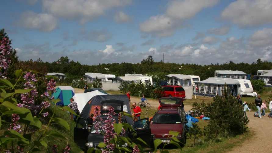 Nymindegab Camping
