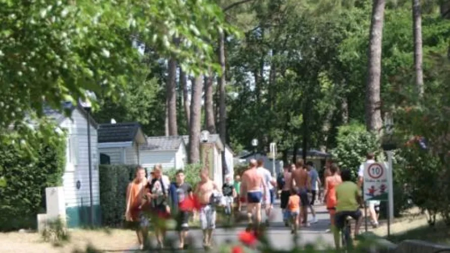 Camping Eden Villages Palmyre Loisirs