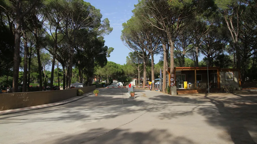Camping Marvilla Parks - Neptuno