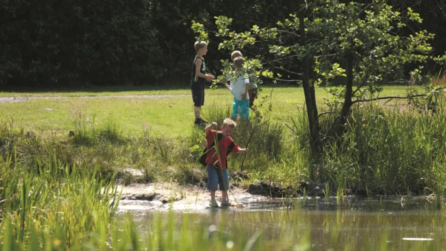 Camping De Kleine Wolf