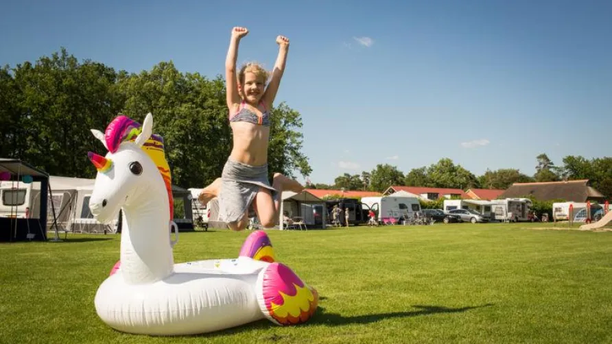 Camping De Kleine Wolf