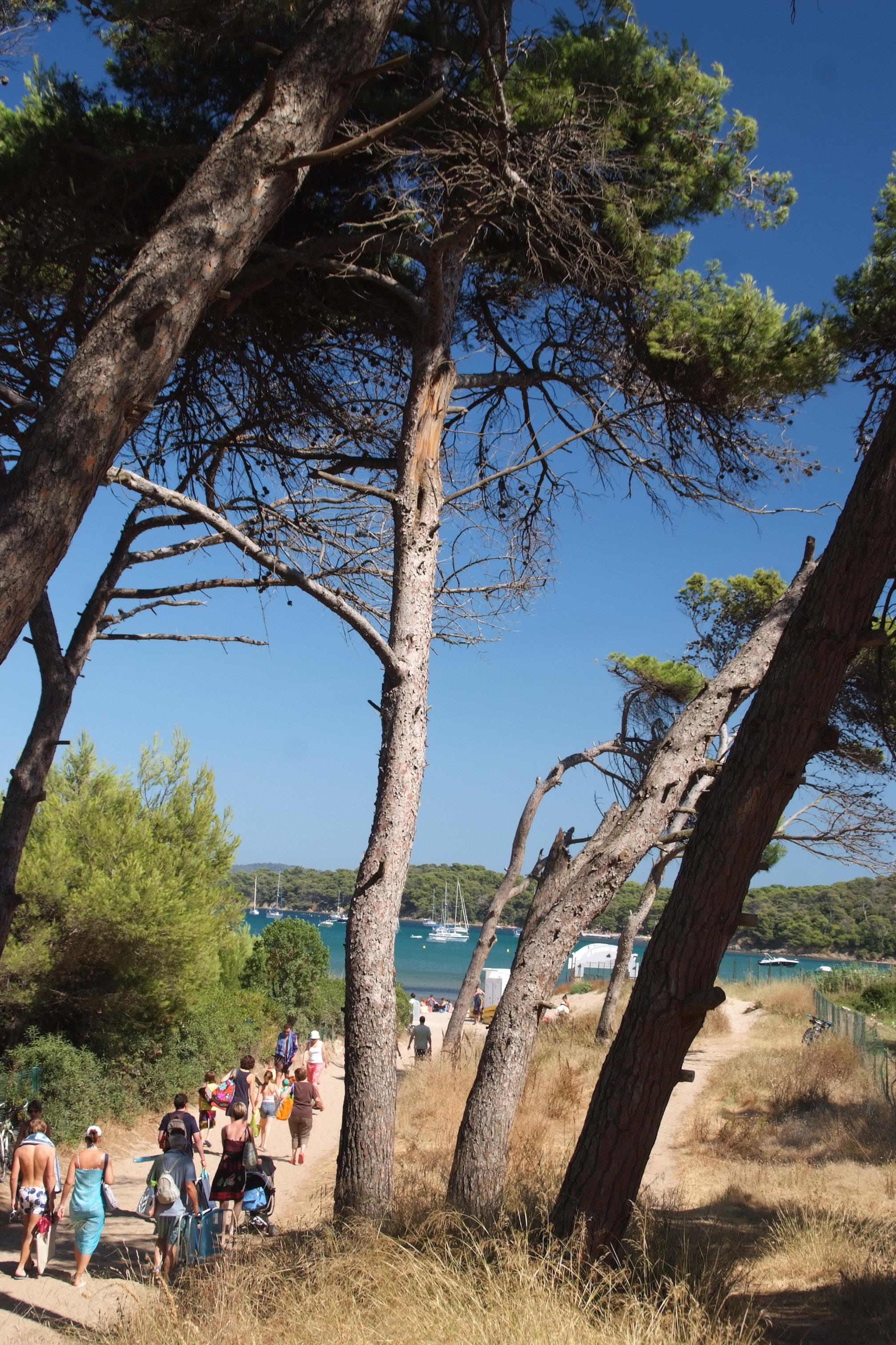 Camping Tikayan Le Méditerranée
