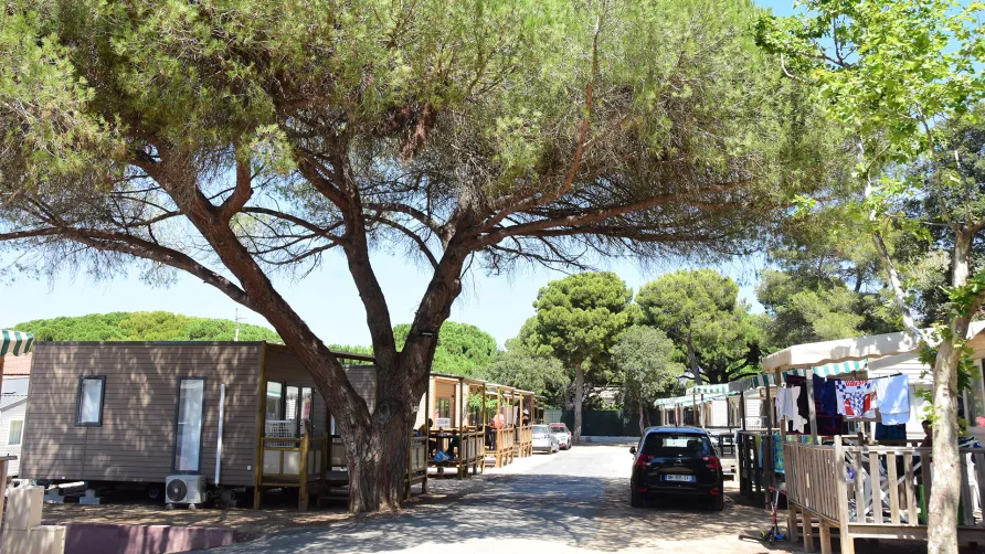 Camping Tikayan Le Méditerranée
