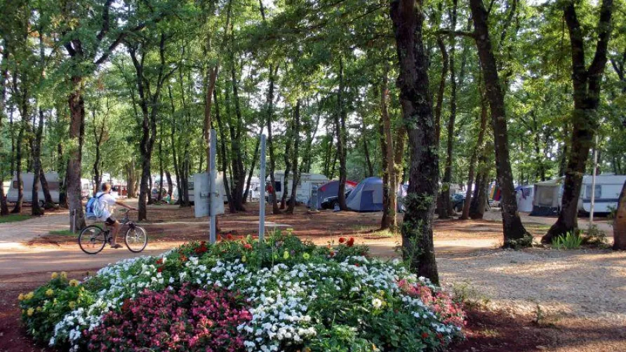 Camping Finida