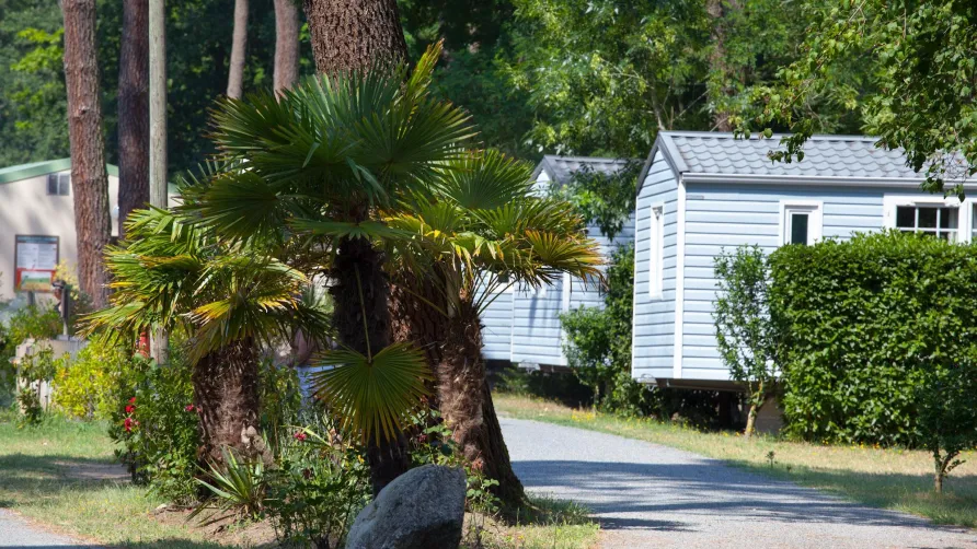 Camping Homair - La Pinède