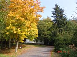 Charme camping Woltzdal