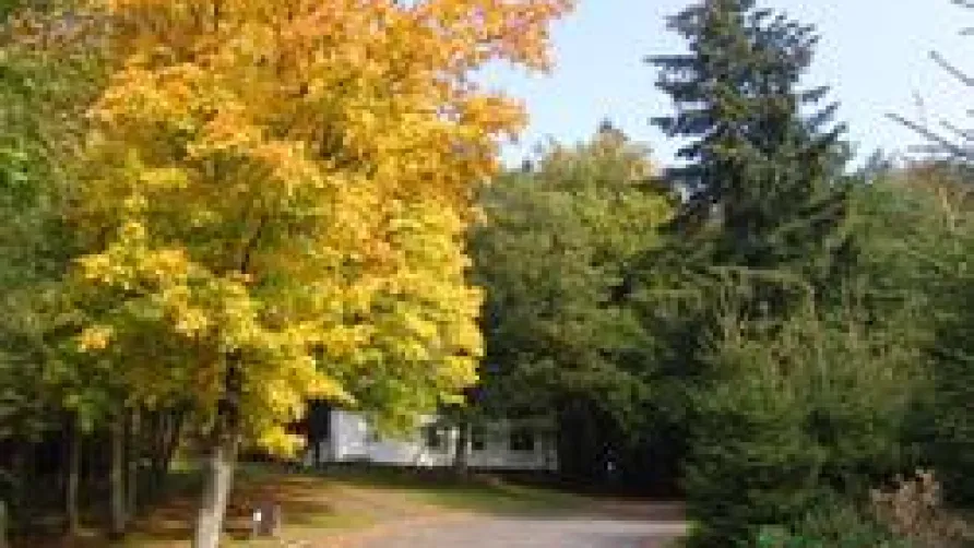 Charme camping Woltzdal